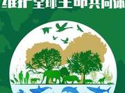 National Forestry and Grassland Administration: China’s Endangered Wild Species Populations Overall Show Stability and Growth