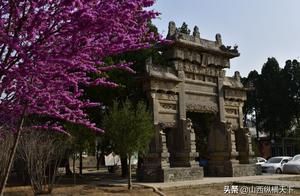 The Beautiful Spring Scenery of Ruicheng County, Yonglu Palace!