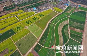 Baocai Residents, a Sea of Flowers Closest to the City Awaits Your Exploration