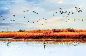 Kuche, Xinjiang: Animal Paradise in the Desert