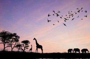 South Africa is a gift from nature, incredibly beautiful, with a wide variety of vegetation.