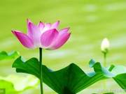 In times of poverty, do not make friends; in times of hardship, do not seek relatives.