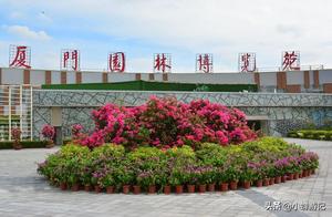 Spring Blooms in Xiamen's Yu Garden: Come Explore the Floral Festival!