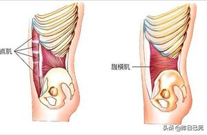 Correctly Strengthening the Oblique Abdominal Muscles, Losing Ten Pounds in a Month is Not a Dream!