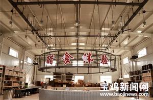Savor Vinegar Aroma, Relive Hometown Nostalgia: New Industrial Tourism Base Planned in Qishan, Baocai