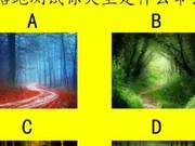 If You're Running Away From Life, Which Path Will You Take to Test Your Predestined Fate?