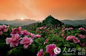 Kai Zifeng Peak Tourist Area Granted National AAAA-Level Scenic Area Status