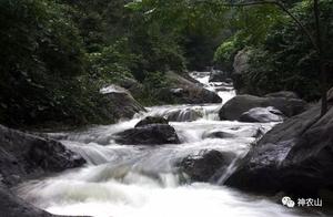 Breaking News | Shennongshan Scenic Area Grants Lifetime Free Tickets to All Henan Aid Medical Personnel to