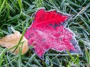 There's Always Someone Who Remains in Your Heart, Though Not by Your Side
