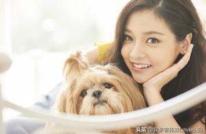 What Does It Mean When Your Dog Puts Its Paws on You?