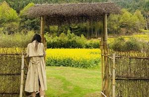 Golden Yellow Rapeseed Flower Sea in Ancient Creek Can't Be Contained! Stunning Photos Exposed, Come See!