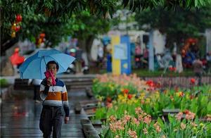 Spring Rain, Beautiful Scenery of Haikou, Captivating