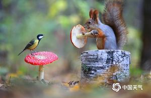 Heartwarming Moments: Capturing Animal Affection