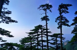 Huoshan Dabie Mountain: A Pristine, Uncultivated Wilderness