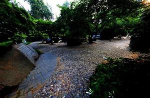 This Japanese Garden in Beijing Costs Only Two Cents – Why Not Free?
