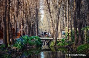 Sailing on Emerald Waves, Amidst Blossoms, A Forest Park on the Water Offers a Different Landscape