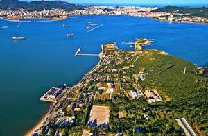 First Encounter with Weihai: Spring Blooms and Blossoms