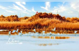 Kuche, Xinjiang: Animal Paradise in the Desert