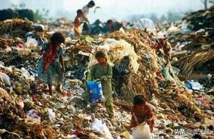 A Bird Larger Than a Human Lives in an Indian Dump!