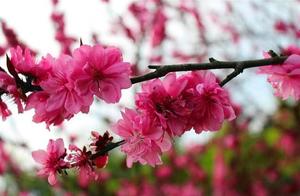 May there be years to anticipate, may time not be wasted.