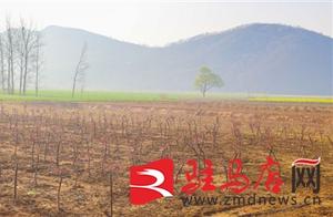 Chen Fuquan: Building Another 'Dream Town' in Qu Shan County
