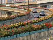 Latest Rankings! Best and Worst Results for Hangzhou Parks, Roads, Canals, and Elevated Green Spaces Revealed!