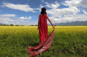 Everyday Summer Heat · Daily Sharing, Take a Walk and Explore, It’s Not Just Travel, But Also Life