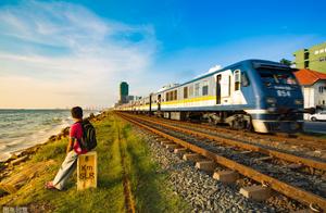 Train or Bullet Train? Experts Tell You