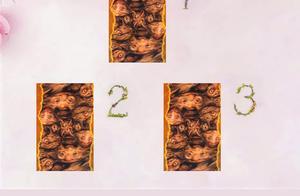 12 Zodiac Fire Sign April Fortune Sprite Godmother Tarot Test