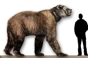 10 Extinct Prehistoric Mammals and Their Sizes – See How They Compared to Humans