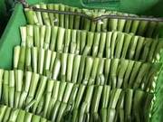 Guangdong 'Hard Dishes'! Huizhou Leafy Greens/Mustard Greens/Spring Greens/White Cabbage Mix Boxes – Free Shipping via SF Express