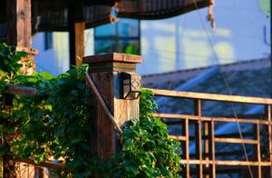 The Most Charming Moments of Miaozihuo Island, Dongji Island, in March
