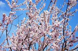 High School Essay | Youthful Memories, Precious Recollections