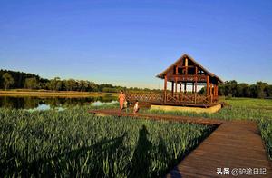 Another Beautiful Free Scenic Area in Beijing, Bus Direct Access, Netizens: Let's Go!