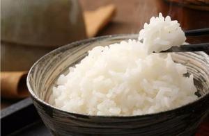 Why is There Such a Difference in Rice Between India and China?