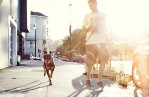 British Woman Chooses Boyfriend Over Dog After Clash