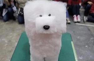 Story: Pet Grooming School Competition – One Stunning Piece Leaves the Audience Amazed (Student Likely Didn't Sleep in Class)