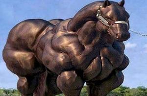 Animal Kingdom's 'Schwarzenegger': Never Exercised, Muscles Like They've Been on Steroids