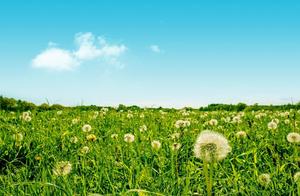 Excellent Sample Essays Appreciation – Love Makes Me More Beautiful