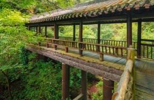 I'm packaging the beautiful spring scenery of Jiemenguan for you, inviting you to join a spring festival!