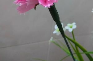 To You, Far Away – Are You Alright?
