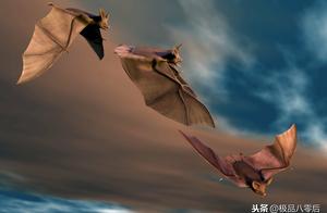 3 Unassuming Animals with Extreme Venom: Do You Know Which Ones They Are?