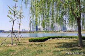 Zhengzhou Hidden Flower Viewing Spots: Subway-Accessible Lake Park, Featuring Premium Sands Beach