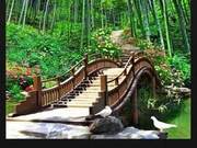 Scenery Harmonious, Spring Delightful / Modern Poetry