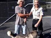 Amazing! A Husky Missing for 2 Years Appears with 2 Puppies Found 200 Kilometers Away