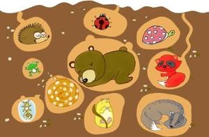 Winter Dormant Animals – A List of 15 Animals That Hibernate