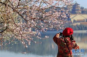 Spring Blooms