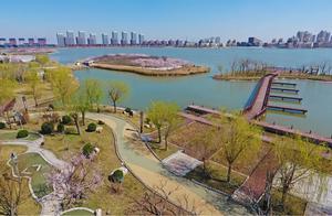 Come to the Island to Admire Peach Blossoms and 400,000 Rapeseed Flower Sea, These Scenic Views in Binhai New Area Await Your Photos!