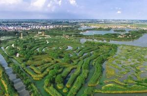 Yancheng Adds Another ‘National-Level’ Identity! This Area Now a National Wetland Park