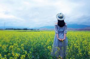Mind's Clarity Sees Flowers Bloom (Essays)